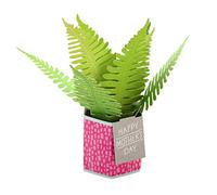 Hallmark Mother's Day Card, 3D & Pop Up Plant Design, With Mini Card, Fern Plant, Keepsake, For Mum, Grandma, Wife, Green, Pink