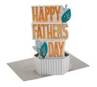 Hallmark Paper Wonder Collection 3D Pop-Up Leaves & Letters Father's Day Card