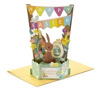 Hallmark Paper Wonder Displayable Pop Up Easter Card (Easter Bunny)