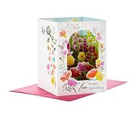 Hallmark Paper Wonder Paper Craft Birthday Card (Happy Surprises)