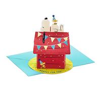 Hallmark Paper Wonder Peanuts Pop Up Birthday Card (Snoopy Dog House)
