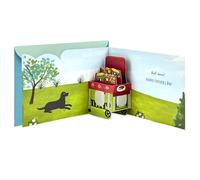 Hallmark Paper Wonder Pop Up Fathers Day Card (Barbecue)