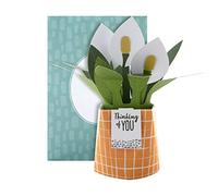 Hallmark Pop Up Card - Contemporary Peace Lily Plant Design