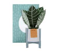 Hallmark Pop Up Card - Contemporary Zebra Plant Design
