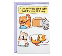 Hallmark Shoebox Funny Birthday Card (Cats Don't Care)