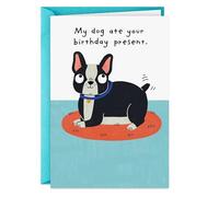 Hallmark Shoebox Funny Birthday Card (My Dog Ate Your Present)
