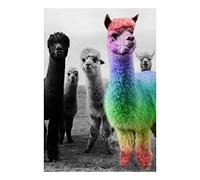 Hallmark Shoebox Funny Birthday Card (Rainbow Sheep)