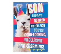 Hallmark Son Birthday Card 'Our Family' - Medium [Old Model]