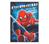 Hallmark Spiderman Nephew Card Hero - Medium