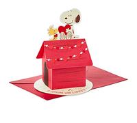 Hallmark Valentines Day Card, 3D & Pop Up, SNOOPY & WOODSTOCK Design, Pink, Red, White