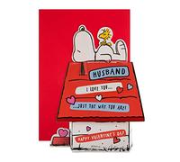 Hallmark Valentine's Day Card for Husband - 3D Peanuts Snoopy and Woodstock Design,Red,White