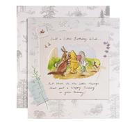 Hallmark Winnie the Pooh Birthday Wish Card