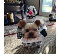 Halloween Accessories For Pets Funny Pet Dog Costume Dog Clothes For Small Medium Large Dogs Chihuahua Pug Clothing Halloween Puppy Costumes (Large) (OTHER, L)