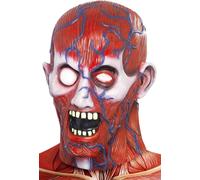 Halloween Anatomy Man Latex Mask