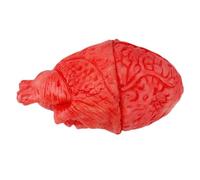 Halloween Body Parts Props Realistic Spooky Severed Decorations Supplies