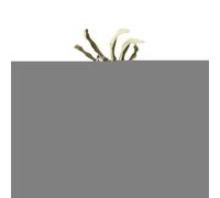 Halloween Bowl, Snack Container with Animated Skeleton Hand for Party Home Garden Scary Halloween