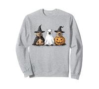 Halloween Capybara Lover Spooky Season Capy Witch Animal Sweatshirt