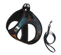 Halloween Carnival Party Print Dog Harness Leash Set Reflective Pet Harness Puppy Vest Suitable Dogs Cats Small Breeds