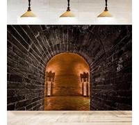 Halloween Castle Photography Backdrop For Dark Medieval Corridor Torch Iron Gate Tunnel Background Banner Photos Booth Props 240x180cm