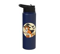 Halloween Cat Witch Flying On Broom Stainless Steel Insulated Water Bottle