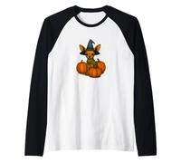 Halloween Chihuahua Witch with Pumpkins Autumn Magic Raglan Baseball Tee