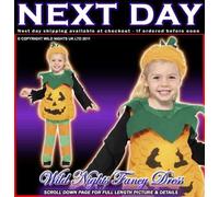 Halloween Childs Little Pumpkin Toddler Costume