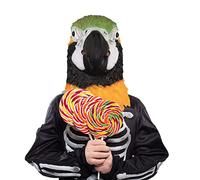 Halloween Cosplay Parrot Headgear Cute Parrot Head Cover Bar Party Spoof Trick Headgear For Halloween Cosplay Costume Party Props * 1 Old M-an Mask(AS SHOW-b,One Size)