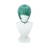 Halloween Cosplay Wigs Purple Braid Long Wigs Pink Straight Wig Black Short Double Braid Wig for Women Girls
