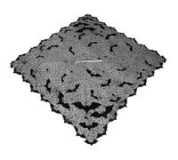 Halloween Costumes Black Lace Spider Web Poncho Hallow-Out Sexy Halloween Costume Woman