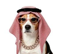 Halloween Costumes for Dogs Arabic Puppy Cosplay Clothes
