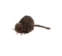 Halloween Cute Prop Fluffy Rat Decoration Haunted House Joke Fake Rat Mouse 15cm