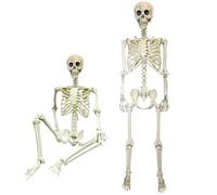 Halloween Decoration Skeleton Poseable Decoration Life Size 165cm Party Prop Graveyard Bones, White