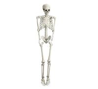 Halloween Decoration Life Size Poseable Skeleton 165cm - Realistic Human Skeleton Prop with Movable Joints, Haunted House Graveyard Scene Halloween Horror Themed Parties (White)