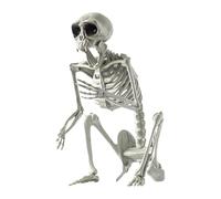 Halloween Decoration Skeleton Dog, Halloween Animal Skeletons, Halloween Dark Horror Animal Skeletons, Dog Statue Ornaments Skull Ornaments Halloween For Corner Doorway Garden