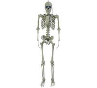 Halloween Deluxe Prop Skeleton with Animated Digiteyes 1.5m