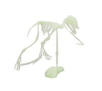 Halloween Desktop Ornament Glow In The Dark Dinosaur Skeleton Model Assembling Toy for Children - DIY Science Education for Kids (A, One Size)