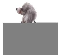 Halloween Dog Costume - Skeleton Bone Fancy Dress for Dogs and Cats - Puppy Cat Costume for Carnival School Parties Photo