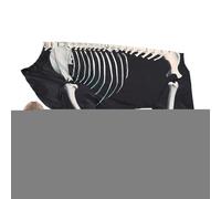 Halloween Dog Skeleton Costume Bodysuit, Pet Outfit for Puppies and Small Dogs, Holiday Photo Clothes for Outdoor Walks Parties Travel Home and Festive Gatherings, 1 Piece