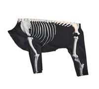 Halloween Dog Skeleton Costume, Halloween Dog Outfit Bodysuit, Comfortable Pet Skeleton Cosplay, Flexible, Machine Washable, Black, For A Festive And Eye-catching Look