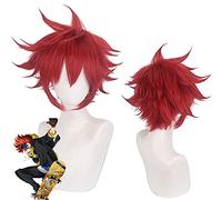 Halloween Fashion Christmas Party Dress Up Wig Cosplay Wig Unlimited Skateboard Sk∞ Calendar Red Big Anti-Alice Anime Wig