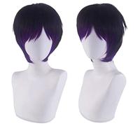 Halloween Fashion Christmas Party Dress Up Wig Net Red Boys Wigs Korean Style Handsome Natural Fluffy Daily Black and Purple Men's Short Hair