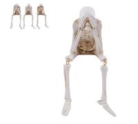 Halloween Fireplace Simulation Skull Combination, Halloween Statues No-Evil Skeleton Collectible Figurines, Skeleton Hear No Evil Speak No Evil Statues, for Home House Halloweens Party (#A)