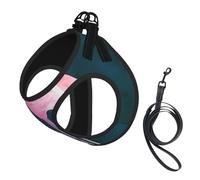 Halloween Flamingo Witch Hat print Dog Harness and Leash Set, Reflective Adjustable Puppy Vest for Small Medium Large Dogs, Cats