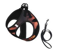 Halloween Flamingo Witch Hat Print Step in Dog Harness and Leash Set,Adjustable Reflective Harness for Small Dogs Cats