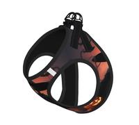 Halloween Flamingo Witch Hat Print Step in Dog Harness and Leash Set,Adjustable Reflective Harness for Small Dogs Cats