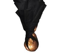 Halloween Floating Fireball Prop, Glowing Floating Flame Lamp, Artificial Decorations Fake Party Floa Halloween Fire
