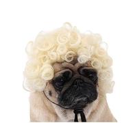 Halloween Funny Cat Dog Wig for Small Medium Large Dogs Pet Costume Dress up Cosplay Wigs for Christmas Parties Headwear