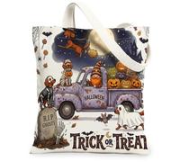 Halloween Gnome Truck Irish Setter Dog Canvas Tote Bag for Shopping 13 * 15, Fun Spooky Reusable Grocery Bag for Women, Scary Creepy Aesthetic Painting Gift Decor