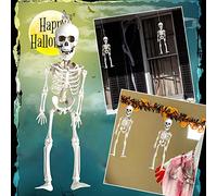 Halloween Hanging Decorations Skeleton Halloween Decorations Full Body Posable Movable Joints Skeleton Props Scary Realistic Human Bones Hanging for Stain Glass Window (white, One Size)