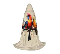 Halloween Hooded Cloak For Teenagers, Colorful Bird Hooded Cape, Youth Hooded Costume For Cosplay, Witch Vampire Party, Fantasy Robe For Teens Carnival Comic Con, Perfect For Heights Of 110-170 Cm